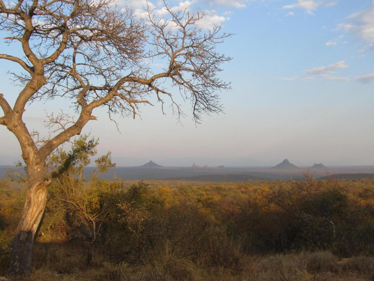 Sausage Tree Safari Camp Balule Game Reserve Εξωτερικό φωτογραφία