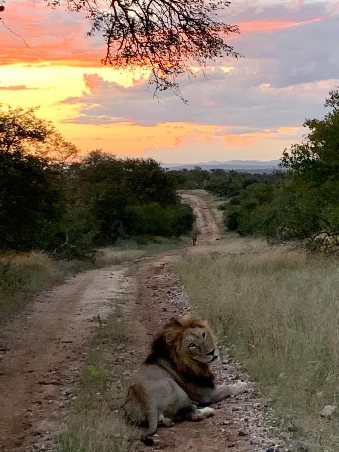 Sausage Tree Safari Camp Balule Game Reserve Εξωτερικό φωτογραφία