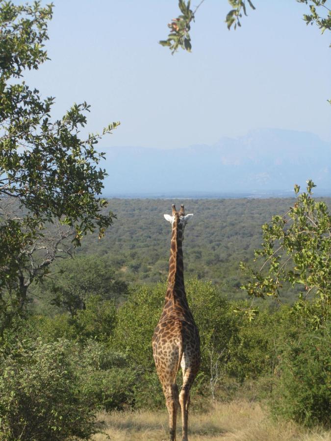Sausage Tree Safari Camp Balule Game Reserve Εξωτερικό φωτογραφία