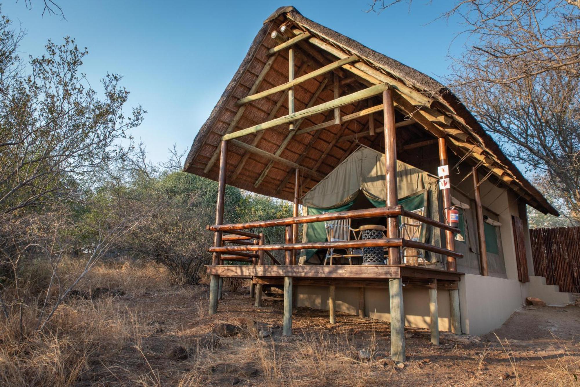 Sausage Tree Safari Camp Balule Game Reserve Εξωτερικό φωτογραφία