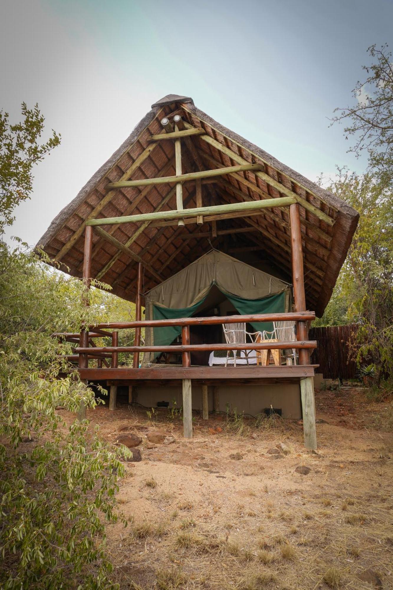 Sausage Tree Safari Camp Balule Game Reserve Εξωτερικό φωτογραφία